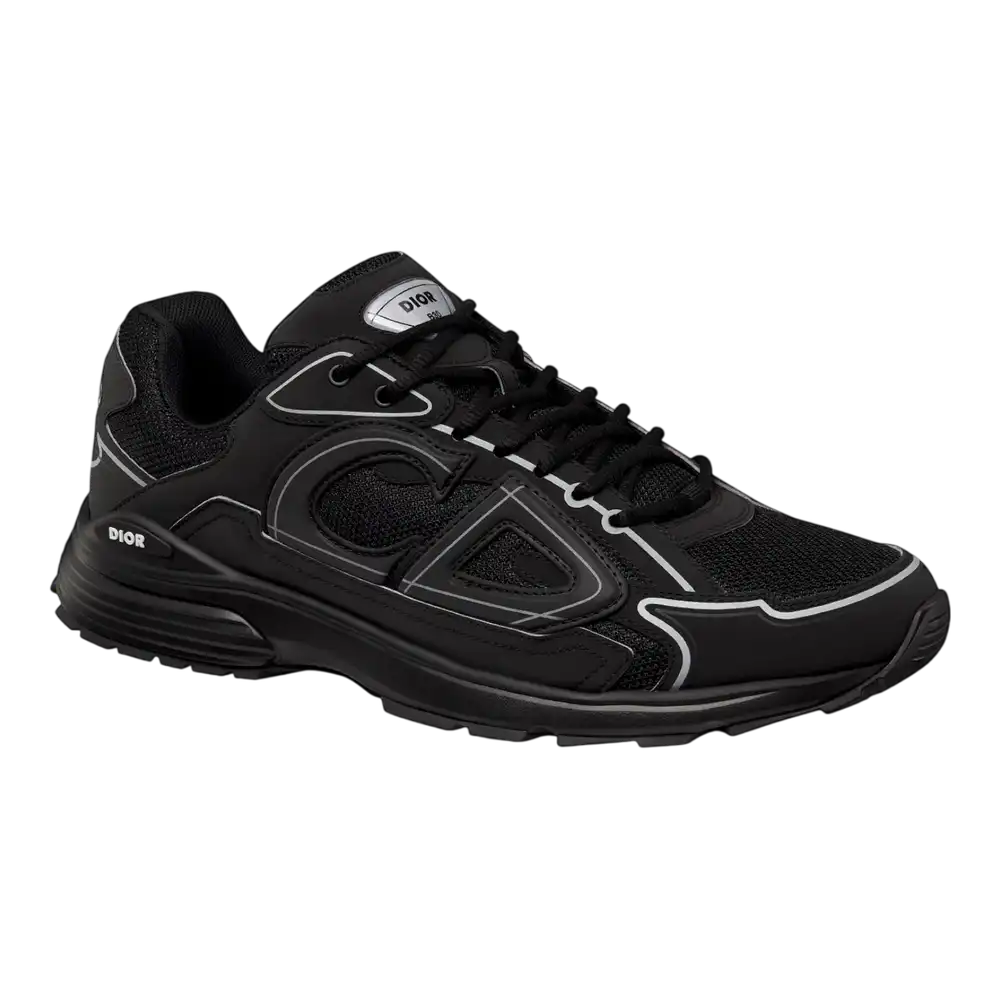 DIOR B30